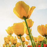 Double Class - Spring Equinox Special Discount